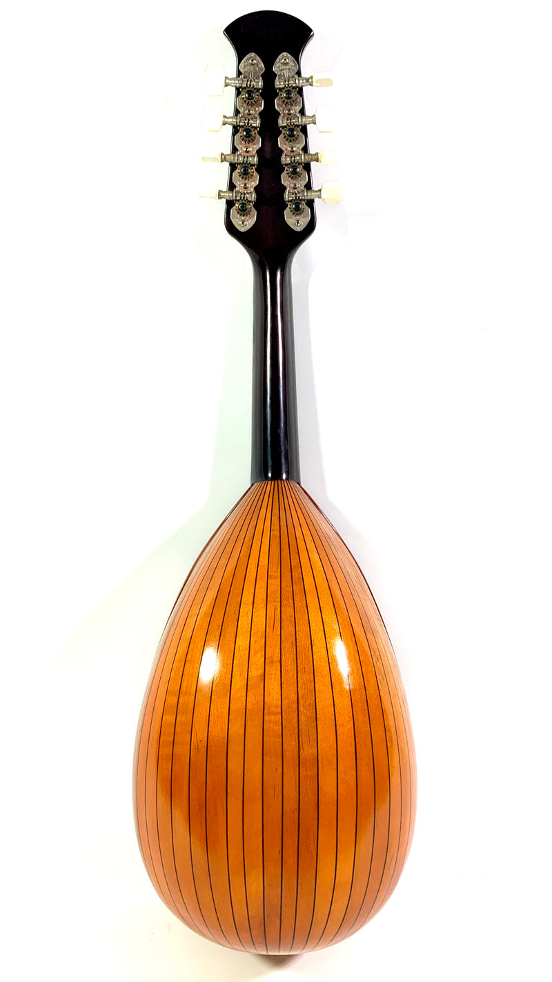 SUZUKI マンドリン 本体 Japan 2024 ビンテージ 1973年製 SUZUKI