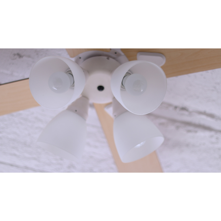 シーリングファン Windouble 4灯 BIG-101 | plusmore(プラスモア)