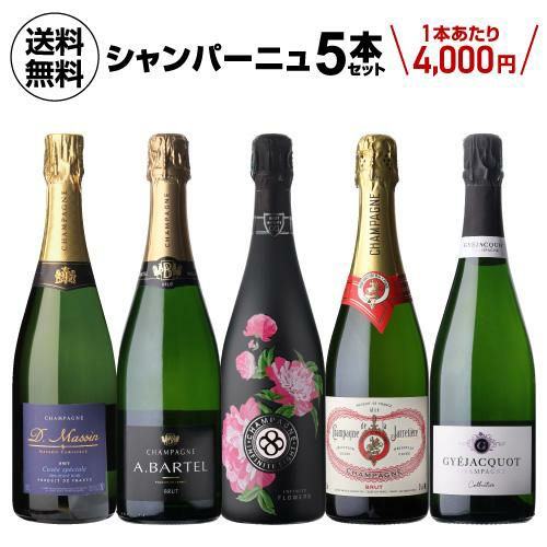 1本/5,200円】送料無料 シャンパンセット！実力派メゾンだけを集めた