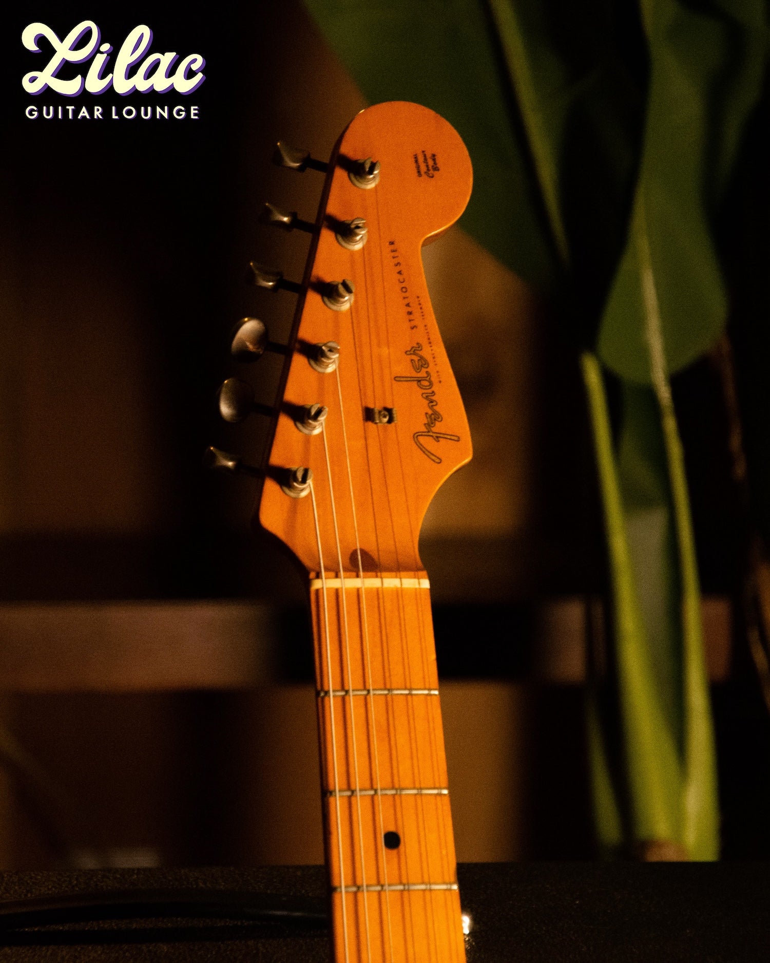 □Fender Japan ST 57 Stratocaster ラージヘッド 【公式通販】