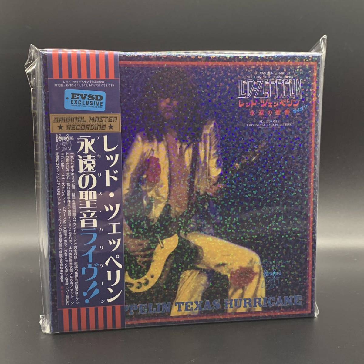 ジグソーパズル ジェイムス・リッツィ スキーツアーズ 808P 未開封