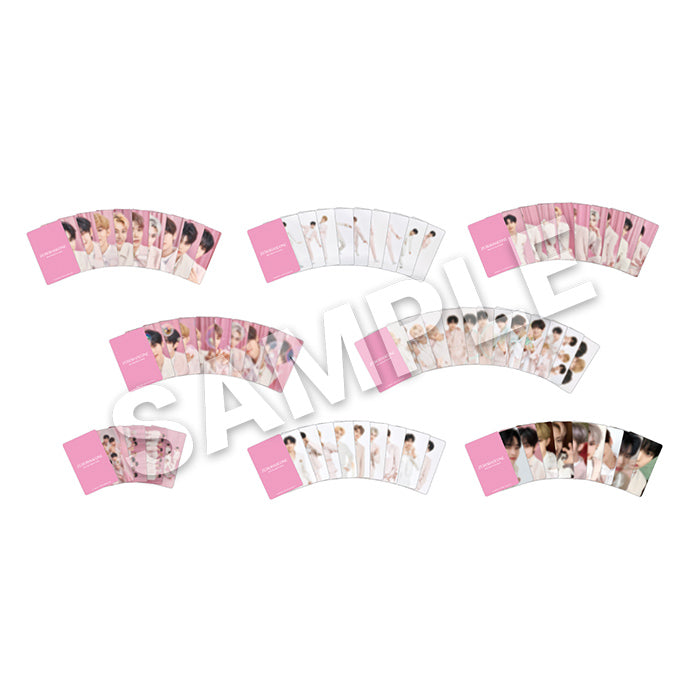 2403_zb1_ph_toreka01re_ksL3tta