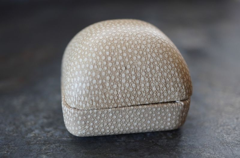 SALE【20%OFF】ENGLAND antique Jewellery Case イギリスアンティーク