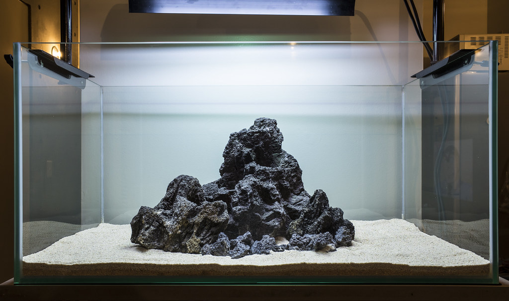 ADA龍王石 親石2つ 副石3つ ADA龍王石 親石