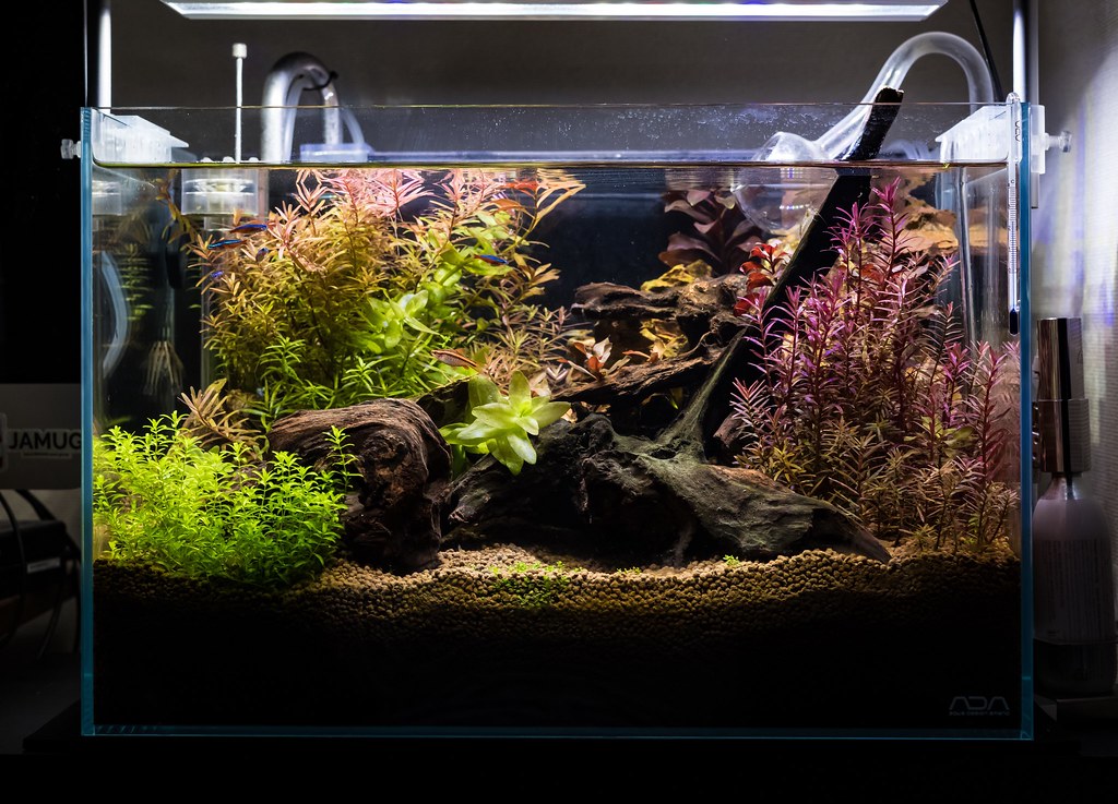 ADA水槽90×45×45 自然美レイアウト一式セット ADA 45cm水槽 一式 ADA