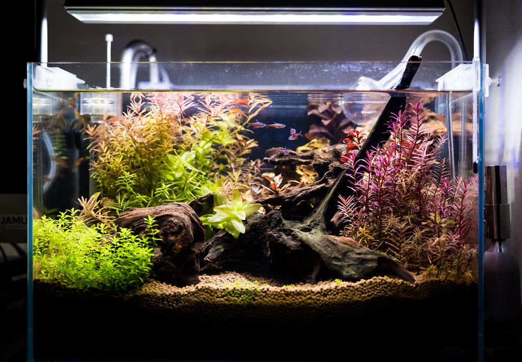 ADA キューブガーデン 90×45×45 セット ADA 30cmキューブ水槽 ADA