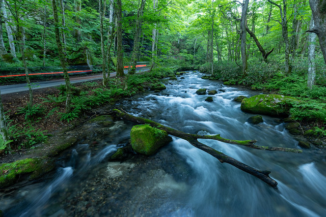 α1 II”と「SEL1635GM2」で撮る青森県の『奥入瀬渓流』 - ソニーの新
