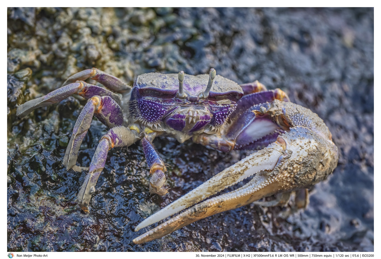 EFX-500-R 正常動作品 EFX-500-R 正常動作品 エフェクト初心者がEFX-500を買ってみた |