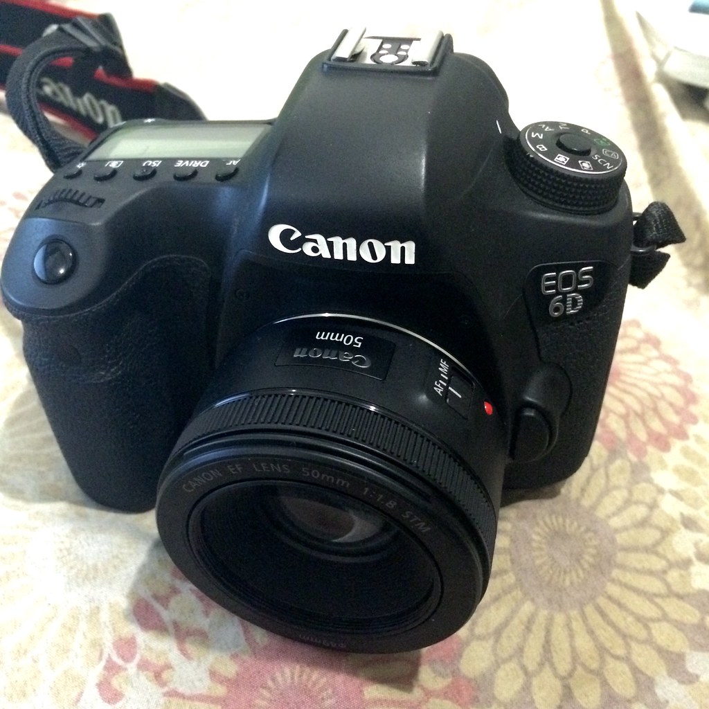 canon EOS 6D 本体と EF LENS 50mm 1:1:8 STM 【公式通販】