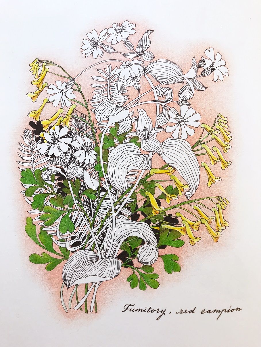 フェリシモ500色鉛筆・FOREST＆SWEETS・完成 | 塗り絵と色鉛筆♪