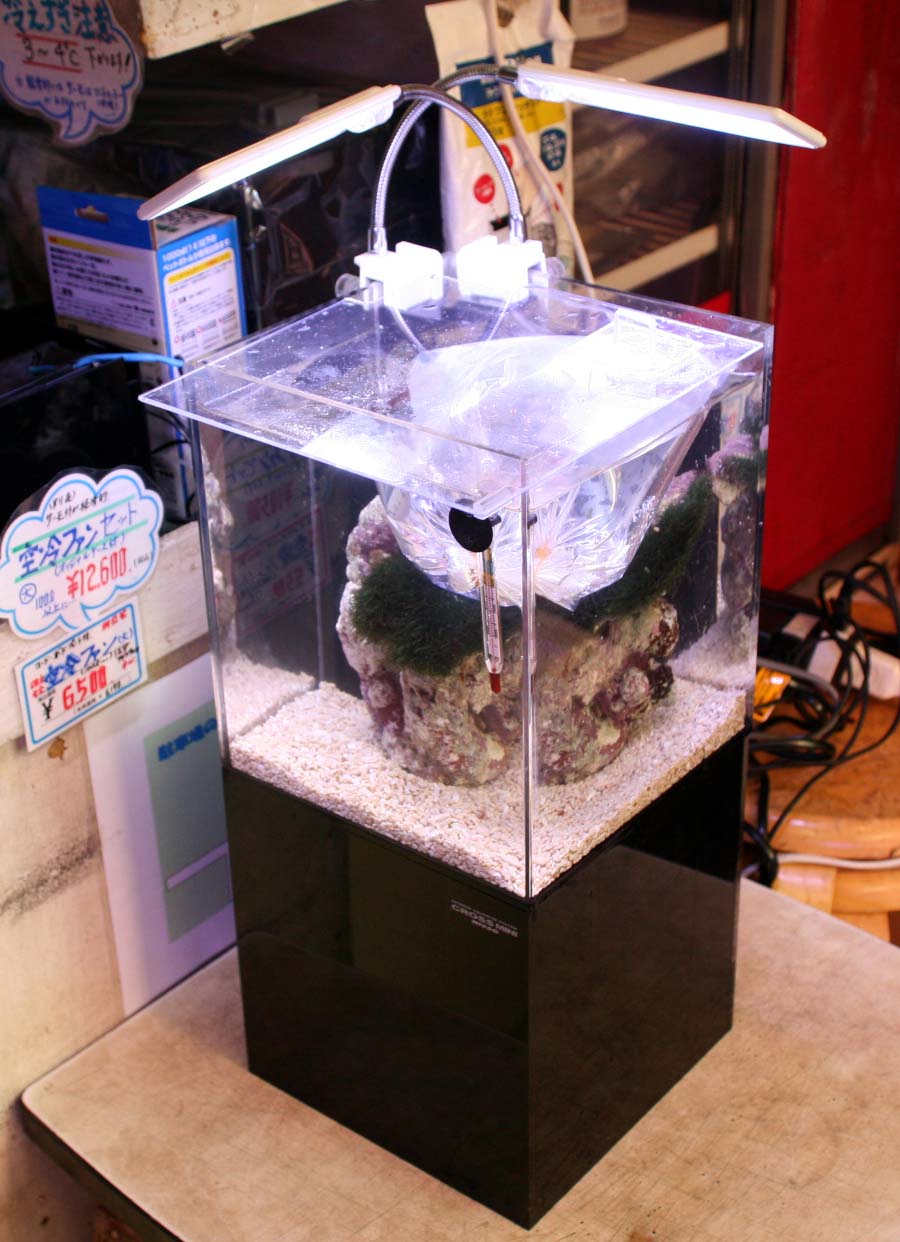 NISSO CROSS MINI 【クロスミニ】 小型アクリルオーバーフローセット