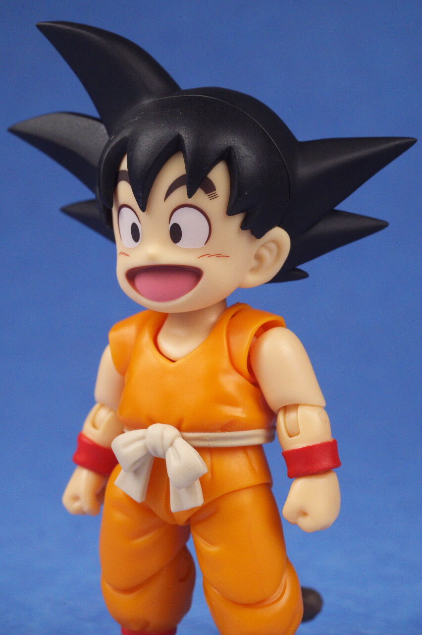 ドラゴンボール 悟空 フィギュア 40th S.H.Figuarts SON GOKU & Ryu