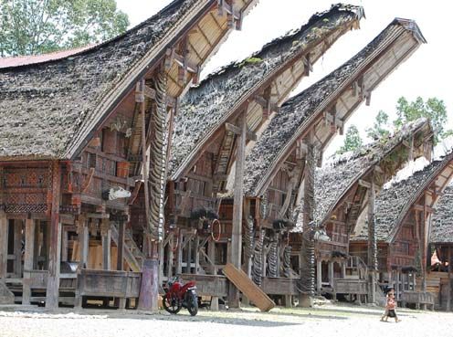 スラウェシ島・トラジャの旅vol,1 : 小松クラフトスペース店主ブログ