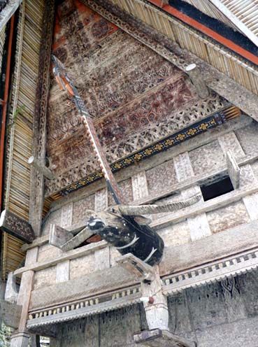 スラウェシ島・トラジャの旅vol,1 : 小松クラフトスペース店主ブログ