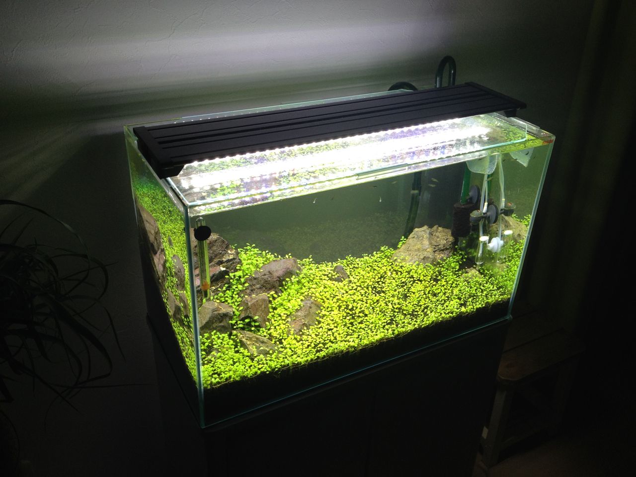 テクニカLEDライト60クリアーを設置する : 水槽にやったことを忘れ