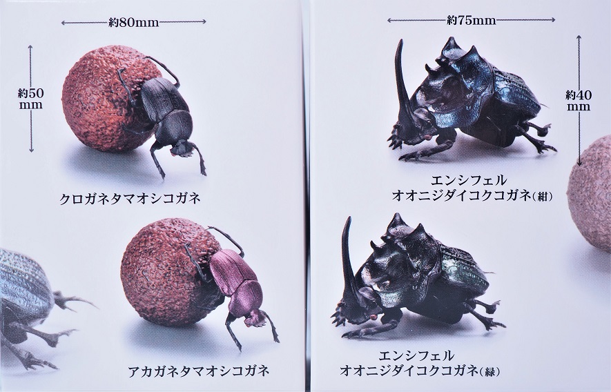 SO-TA アニマリエコレクション 1/1フンコロガシ レビュー : おもちゃの