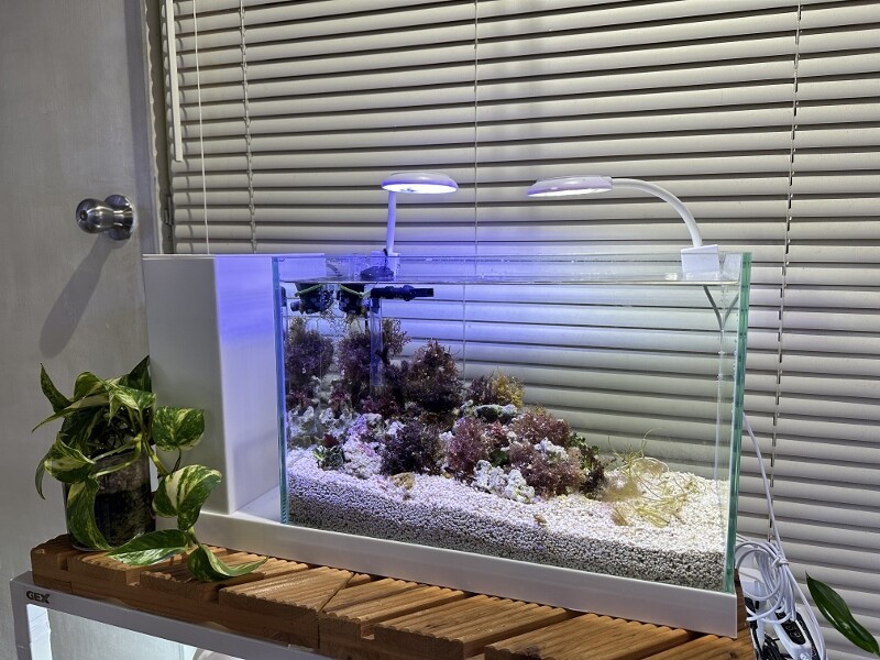 ジェックス AQUA－U WIDE(アクアユーワイド) ホワイト GEX