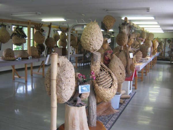 160個のスズメバチの巣を合体させた富士山だって！？世にも奇妙な