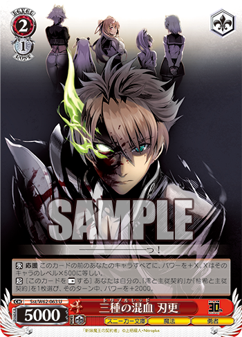 専用 ws ヴァイスシュヴァルツ 澪と主従契約 金色の闇 専用 ws