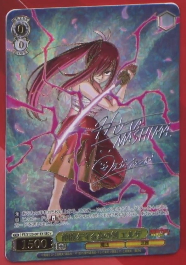 仲間を守る為の剣 エルザ SEC＋ ARS10＋ 100年クエスト FAIRYTAIL 仲間