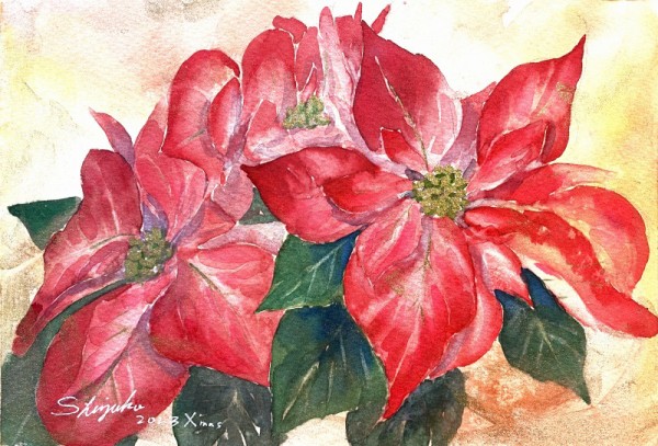 透明水彩画原画 クリスマス 聖夜 ポインセチア 透明水彩画で