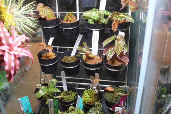 コレクションワイヤースタンド30を設置してみました : アクアマリン