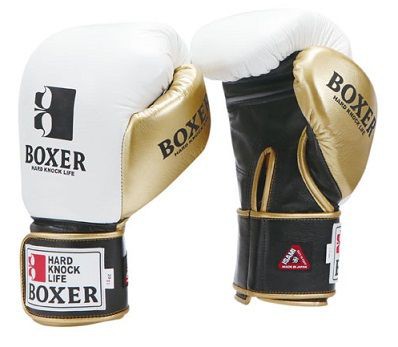 ISAMI BOXER 8oz ボクシンググローブ 那須川天心愛用 天心グローブ