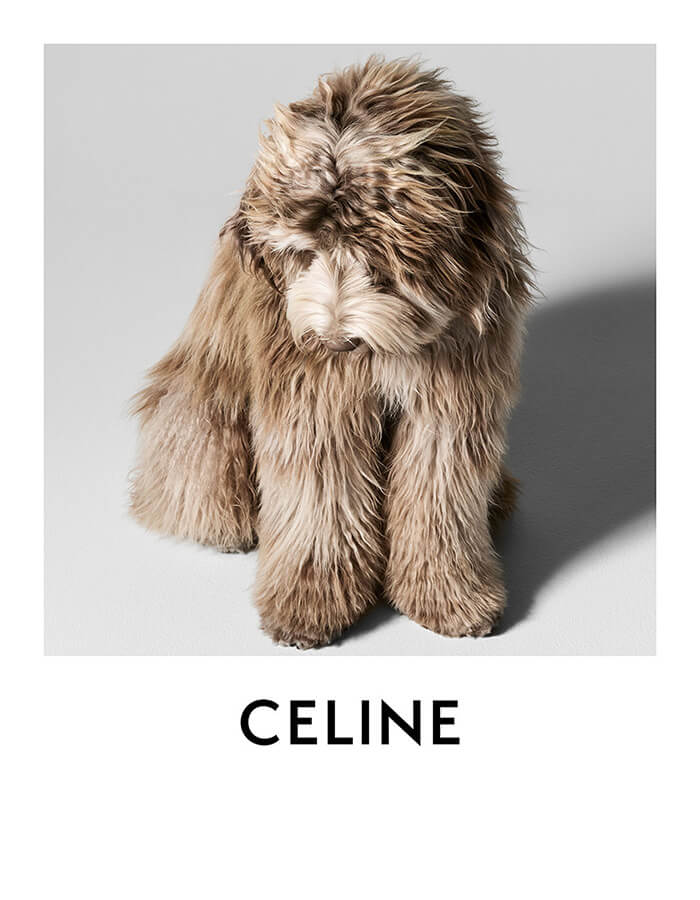 ぬいぐるみ 犬 いぬ セリーヌ ファースト社 レア❣️ ぬいぐるみ 犬