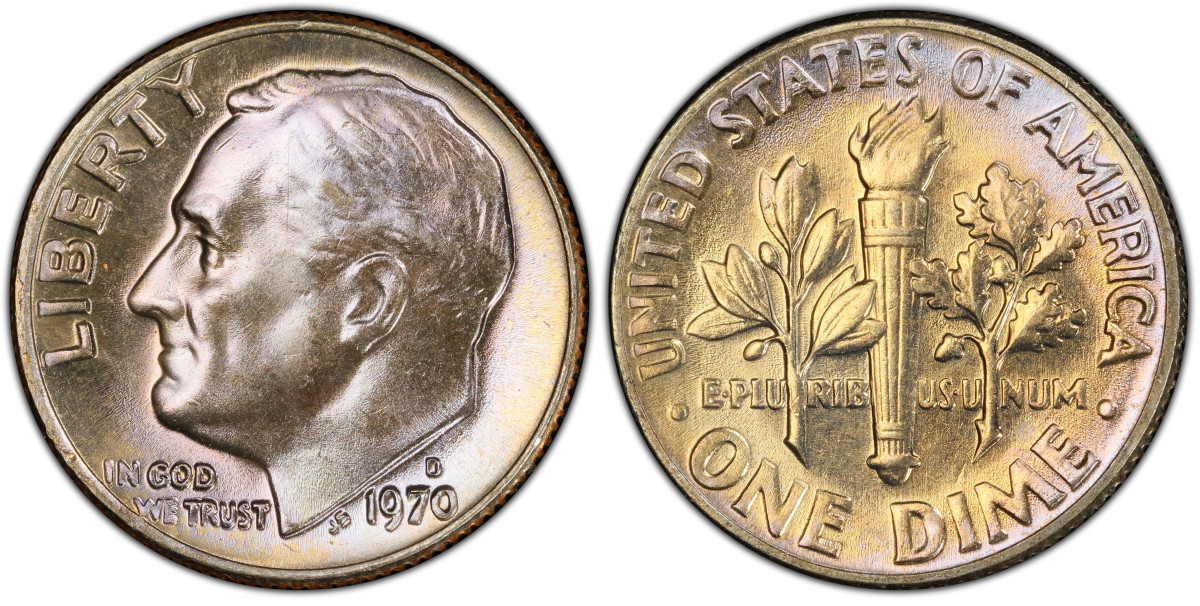 ルーズベルト ダイムズ: 回復力と慈善活動の肖像