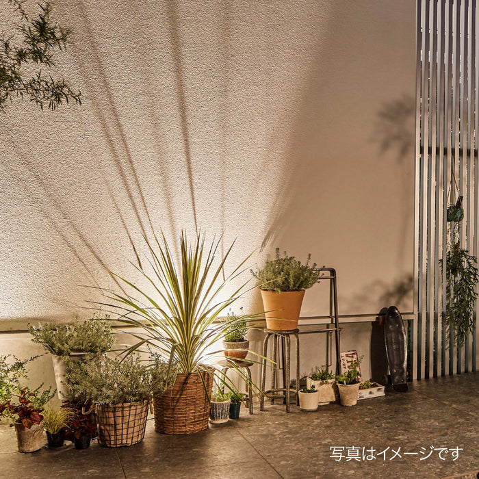 ひかりノベーション 壁のひかり 基本セット — Living Garden Store