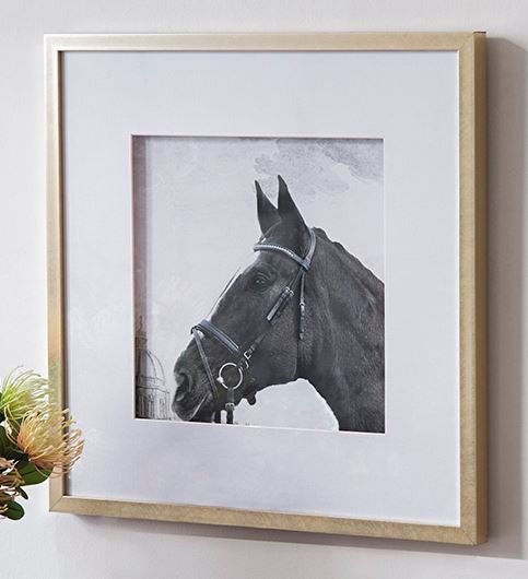 セール！ イタリア 額絵 アート新品 フレーム ピオニー モダン 44772