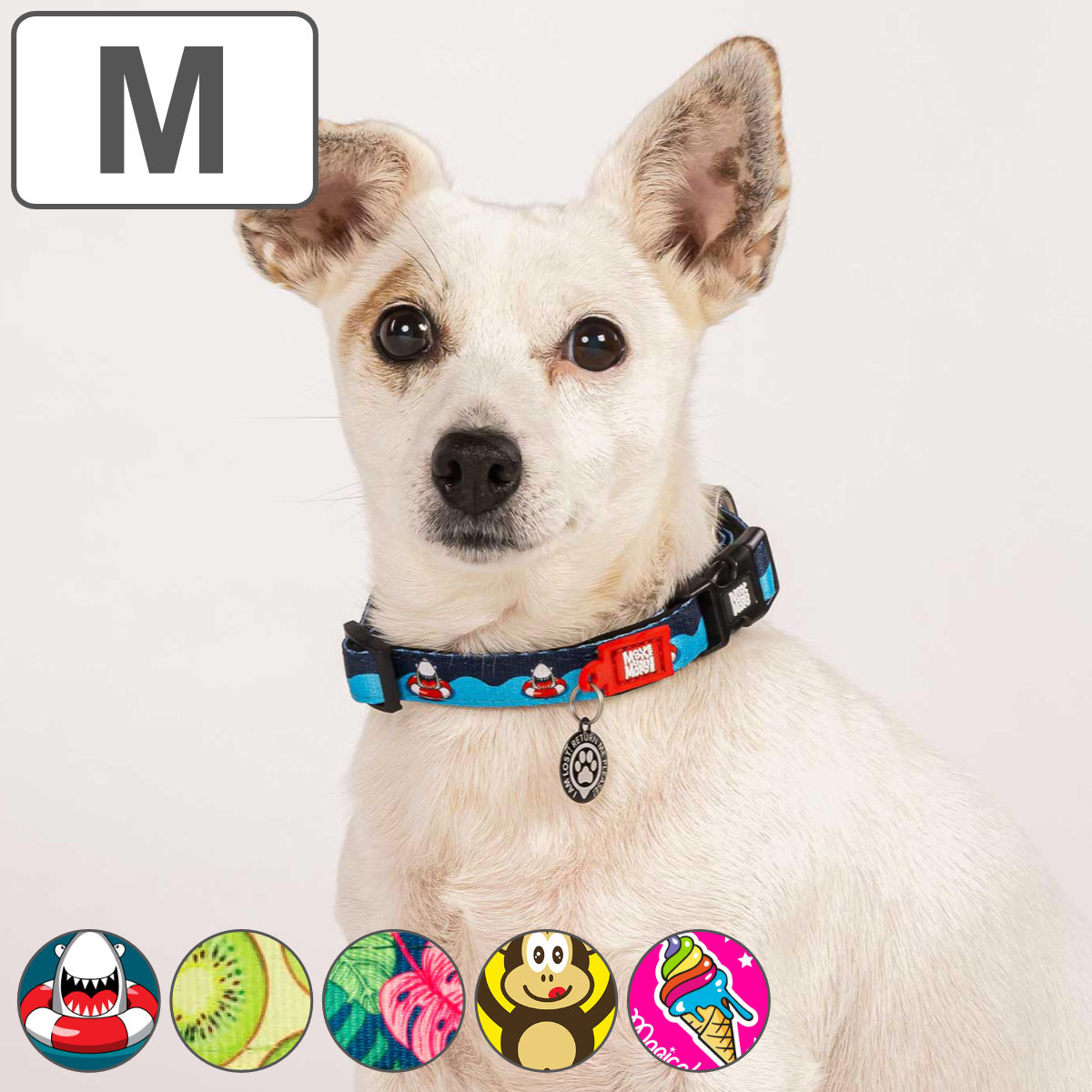 首輪 中型犬 M マックス＆モーリー 迷子札 犬 （ 犬用首輪 ペット用