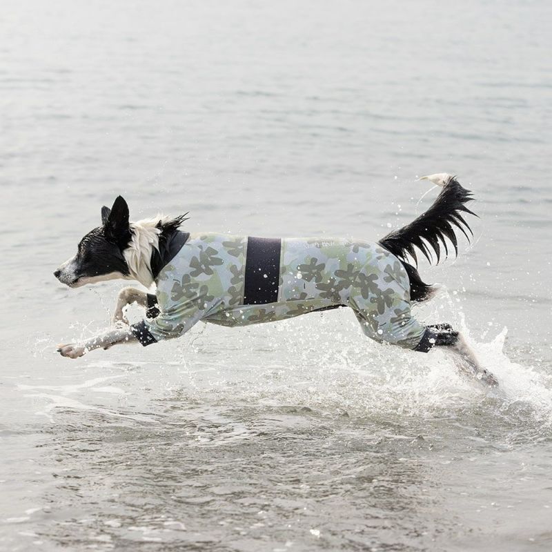 Alphaicon Full Dog Guard Functional Dog Wear - Love Kyoto1 Catalog