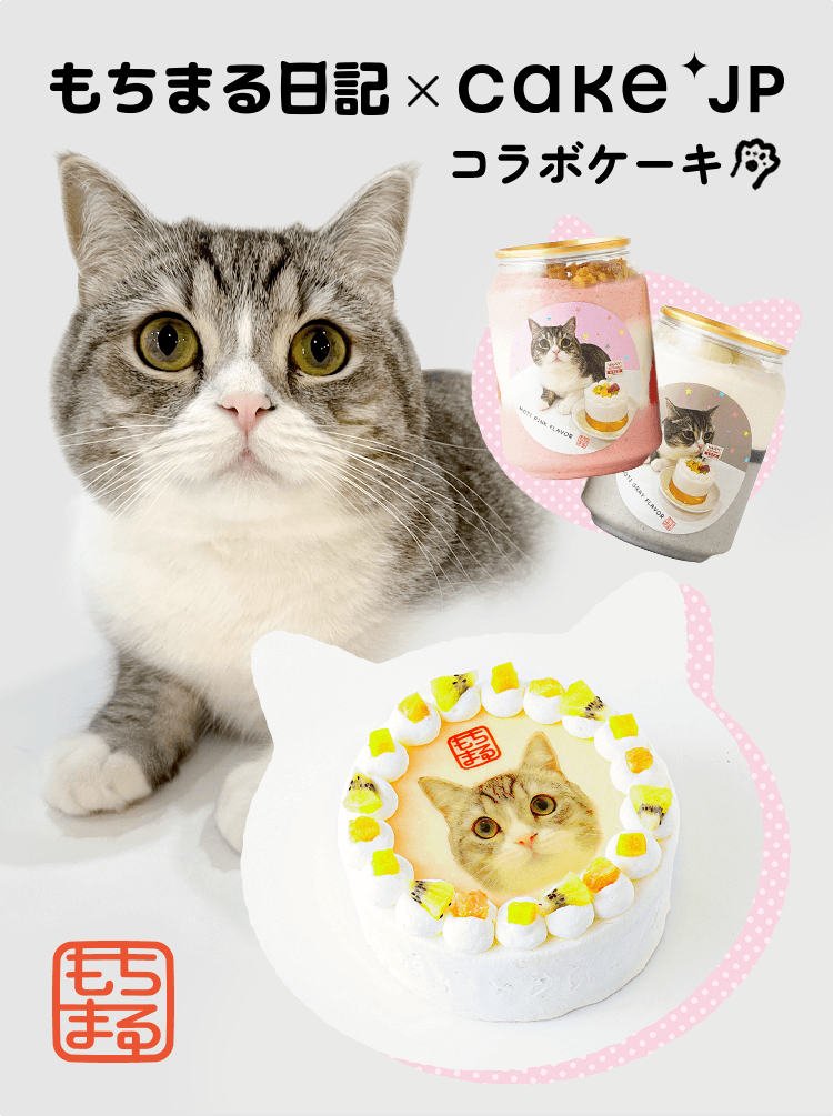 もちまる日記」× Cake.jp コラボレーション商品｜Cake.jp