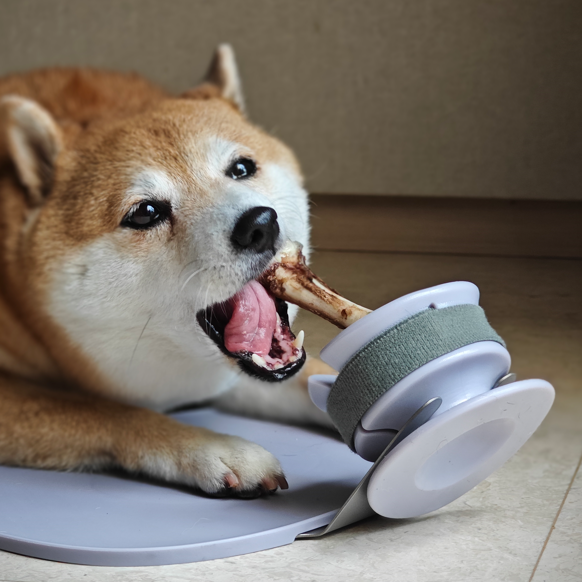 CHEWDEN フルセット – Lunoji