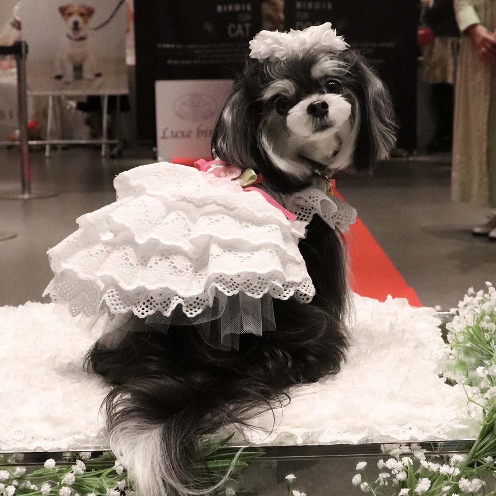 リュクスバーディ Mサイズ 2着セット ウェア – Luxebirdie