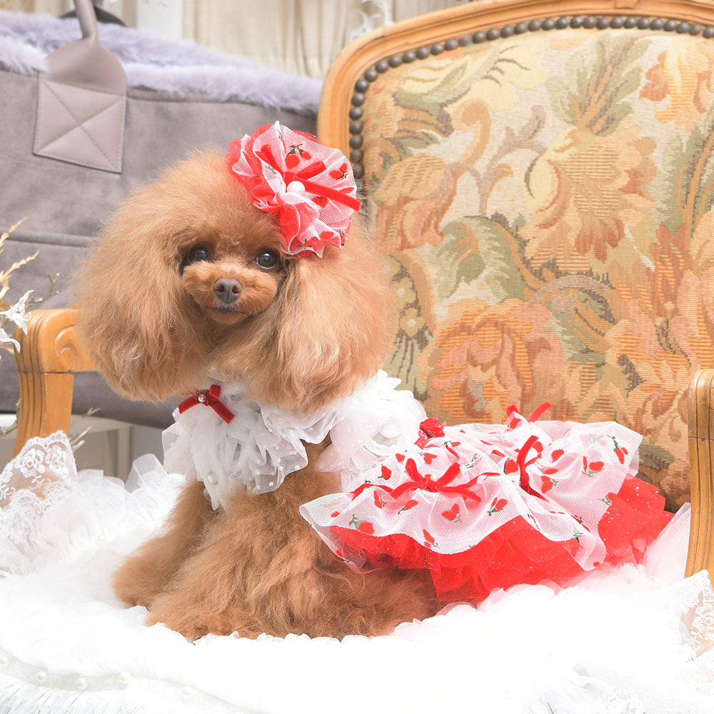 ルージュワンピース – Luxebirdie