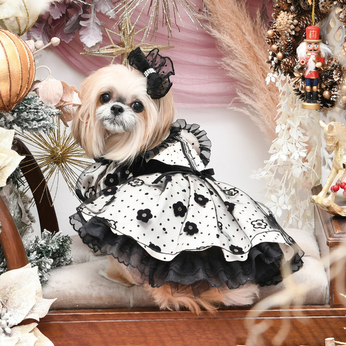 ウェア – Luxebirdie