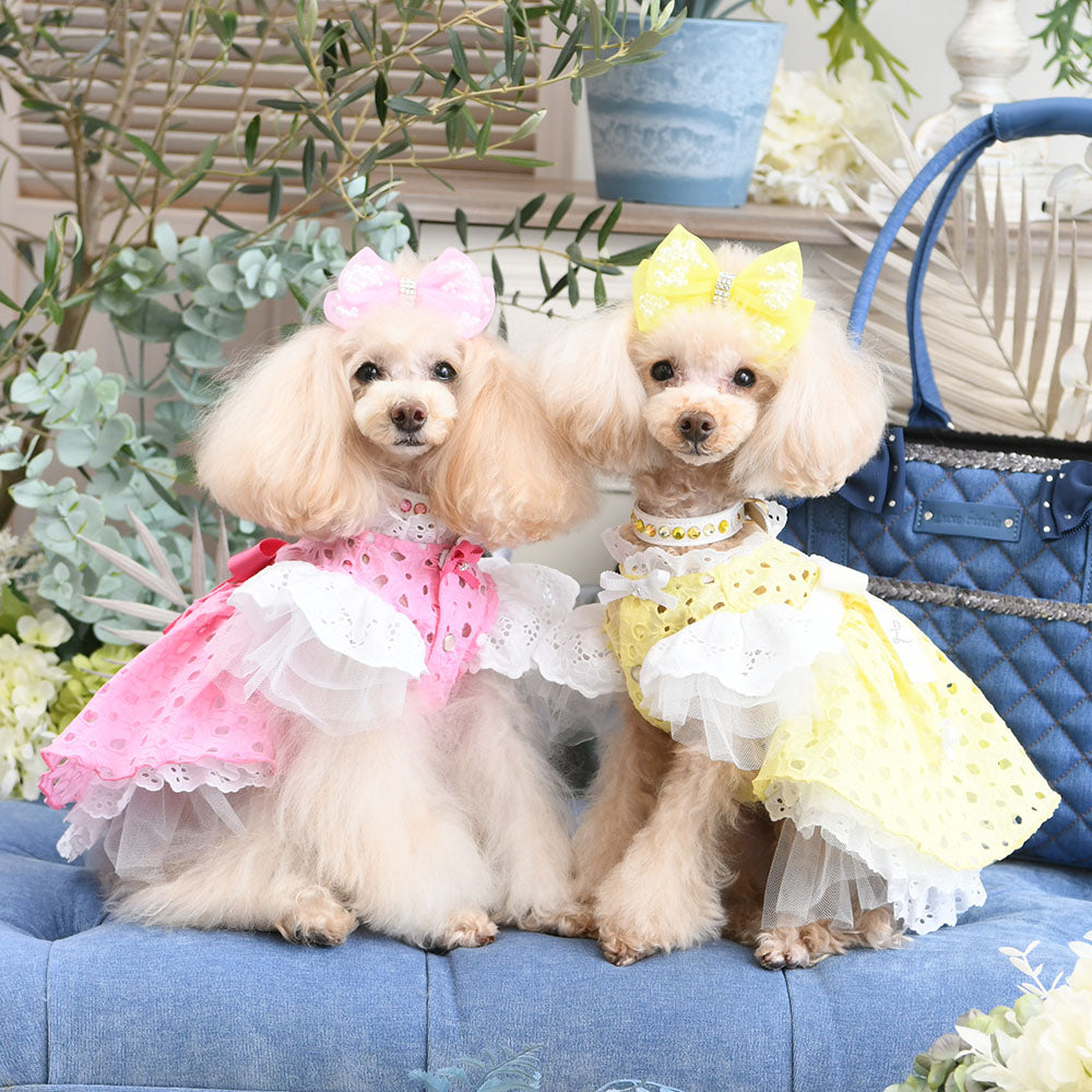 リュクスバーディ Sサイズ リュクスバーディ〛 犬用ドレス Sサイズ 黒