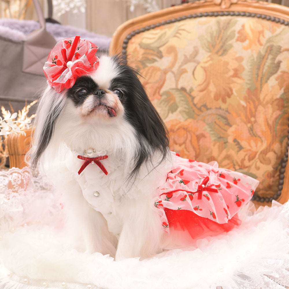 ルージュワンピース – Luxebirdie