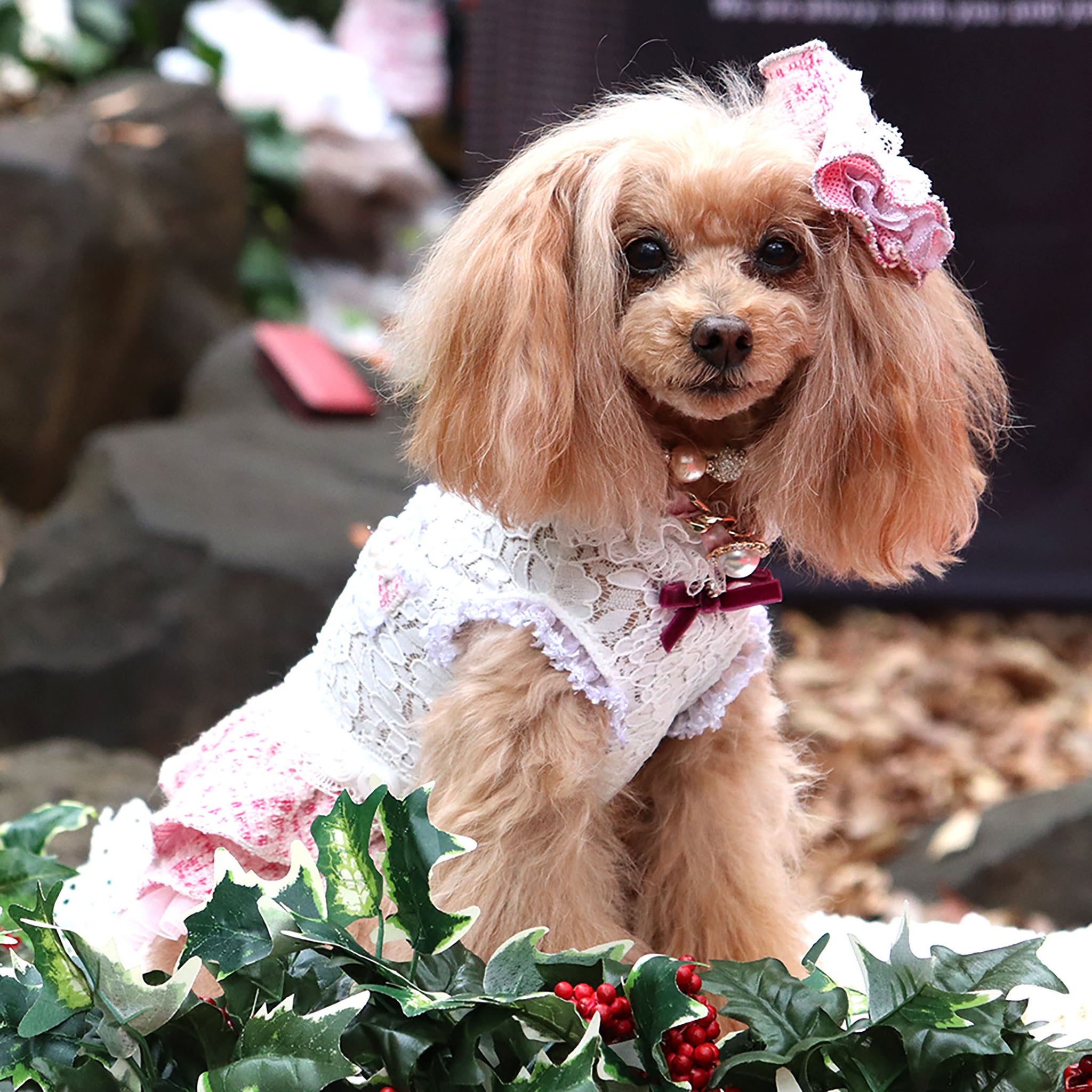 リュクスバーディ アデルワンピース、ジャケットセット Sサイズ 【公式