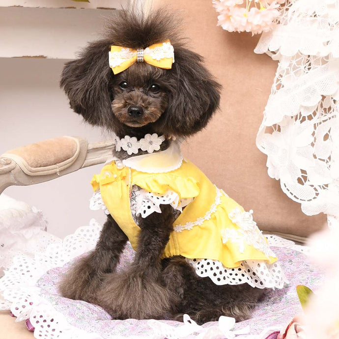 DSC_0170_345x345@2x.jpg?v=