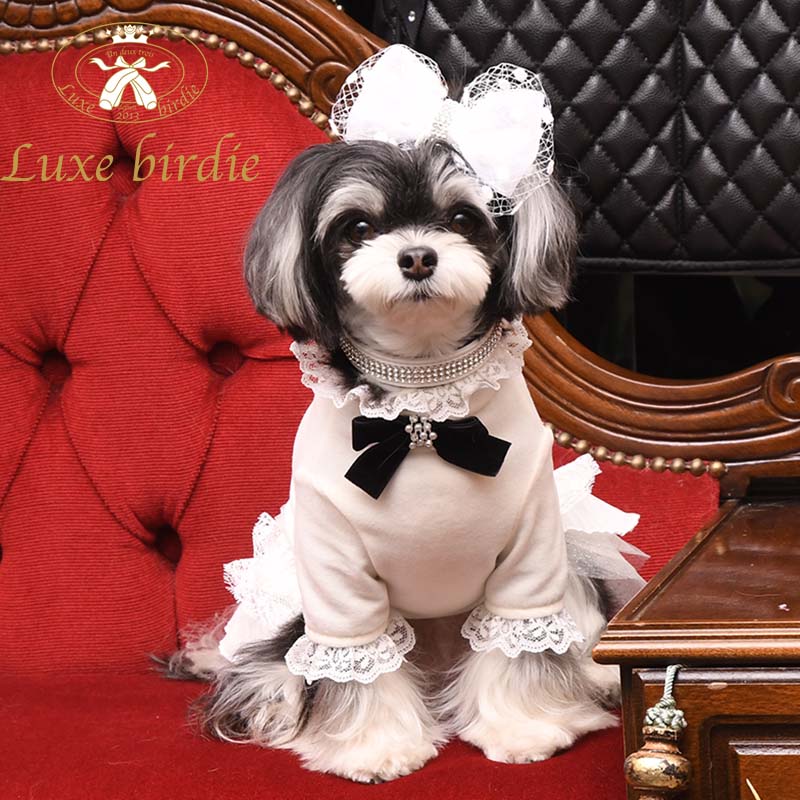 21 レーンクリスタルカラー【Luxebirdie】リュクスバーディ\首輪