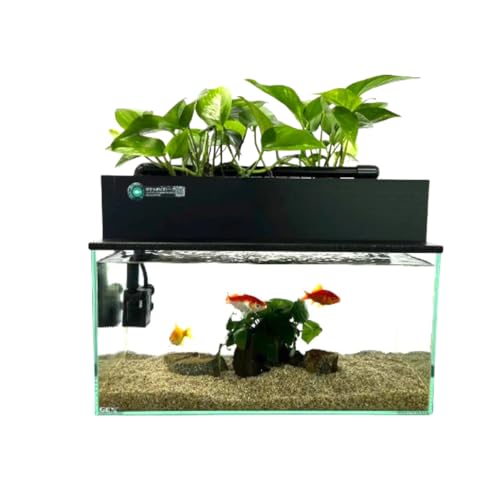 せせらぎビオトープ」の人気商品一覧 | 安い商品を通販サイトから探す