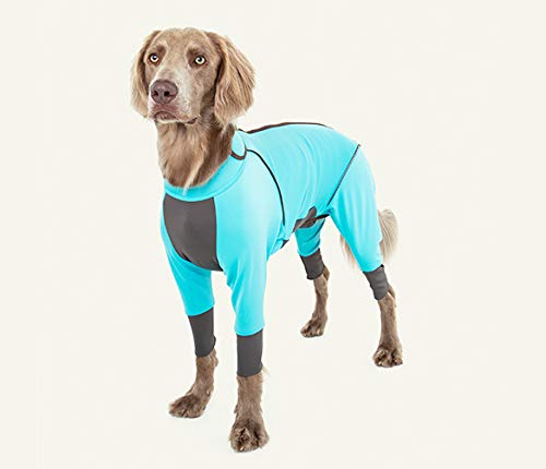 ダブルフルドッグガード XL バンブー BAMBOO/2XL ALPHAICON 2022/AW