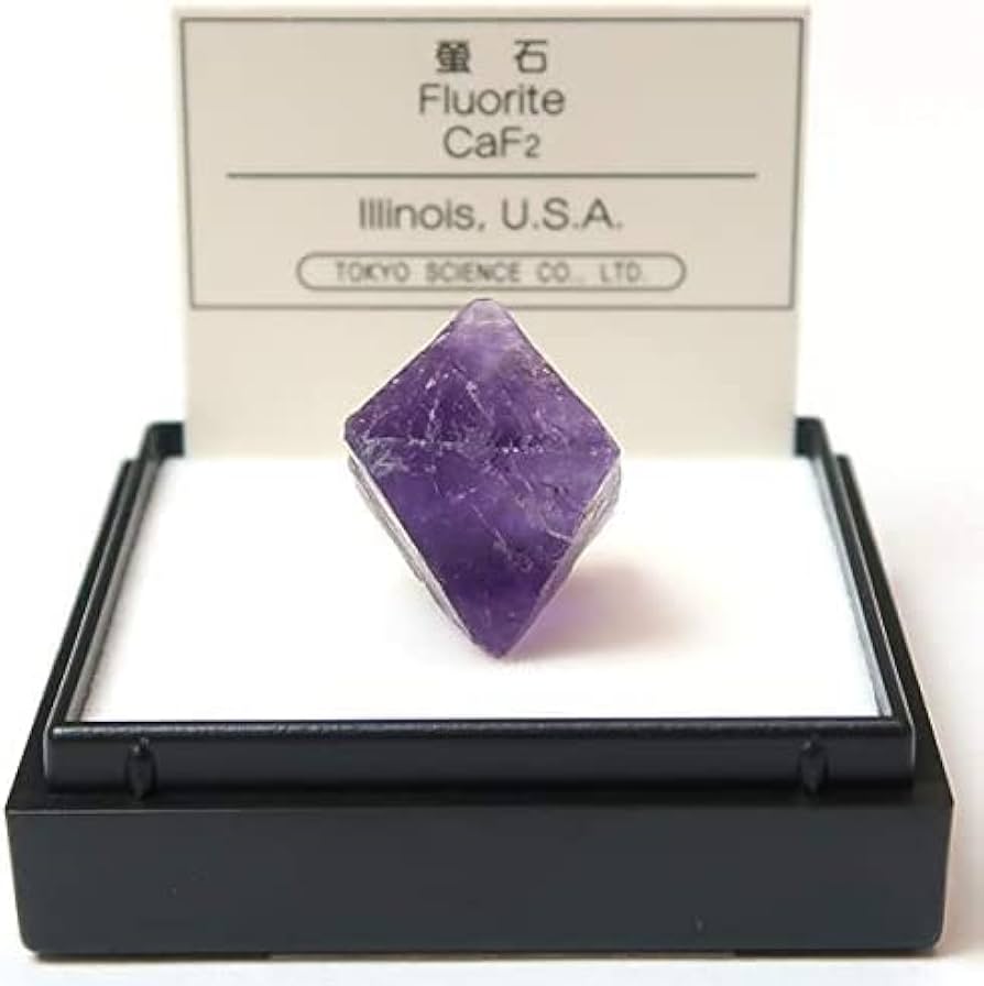 Amazon | SCIENCE ミニ鉱物標本 天才の石 「蛍石 八面体 フローライト
