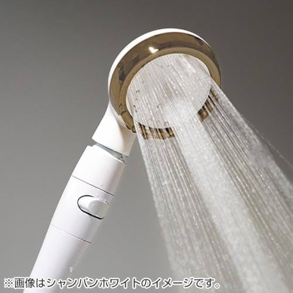 アラミック シルキーナノバブルシャワープレミアム JSNB2-CW