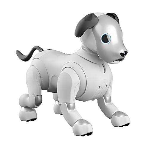SONY aibo ERS-1000/M/S 箱付属品あり アイボーン・サイコロ SONY aibo