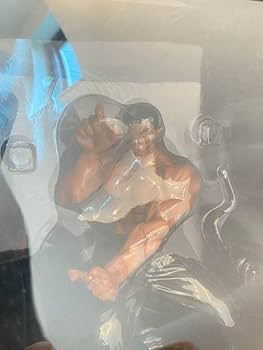 Amazon.co.jp: グラップラー刃牙 烈海王 フィギュア トイザらス 限定