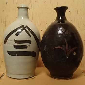 41-Nn69VzEL._AC_UF350,